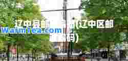 辽中县邮政编码(辽中区邮政编码)