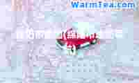 绵阳市地图(绵阳市地图导航)