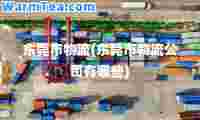 东莞市物流(东莞市物流公司有哪些)