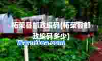 柘荣县邮政编码(柘荣县邮政编码多少)