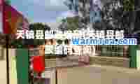天镇县邮政编码(天镇县邮政编码查询)