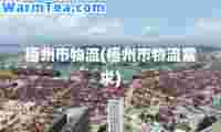 梧州市物流(梧州市物流需求)