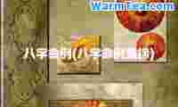 八字例(八字例集锦)