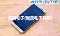 奥美电子(奥美电子科技)