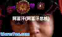 阿富汗(阿富汗总统)