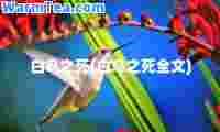 白鸟之死(白鸟之死全文)