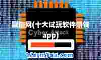 蹦蹦网(十大试玩软件赚钱app)