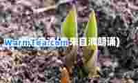 春朱自清(春朱自清朗诵)