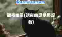 暗夜幽灵(暗夜幽灵免费观看)