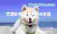 巴西彩龟(要放多少水适)