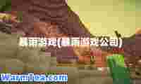 暴雨游戏(暴雨游戏公司)