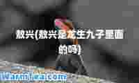 敖兴(敖兴是龙生九子里面的吗)