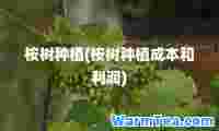 桉树种植(桉树种植成本和利润)