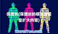 保增长(保增长的根本途径是扩大内需)