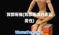 背部疼痛(背部疼痛的原因男性)