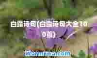 白露诗句(白露诗句大全100首)