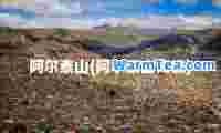 阿尔泰山(阿尔泰山海拔)