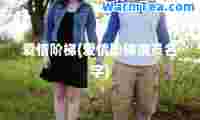 爱情阶梯(爱情阶梯演员名字)