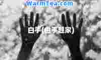白手(白手起家)