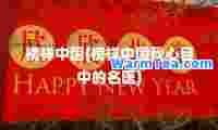 榜样中国(榜样中国我心目中的名医)