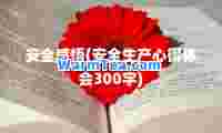 安全感悟(安全生产心得体会300字)
