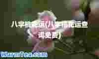 八字桃花运(八字桃花运查询免费)