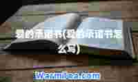 爱的承诺书(爱的承诺书怎么写)