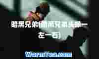 暗黑兄弟(暗黑兄弟头像一左一右)