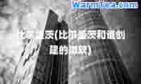 比尔盖茨(比尔盖茨和谁创建的微软)
