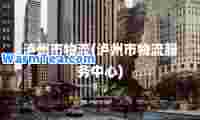 泸州市物流(泸州市物流服务中心)
