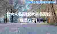 北大未名湖(北大未名湖的唯美句子)