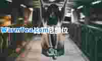 比基尼部位