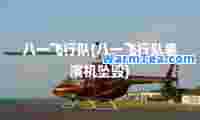 八一飞行队(八一飞行队表演机坠毁)