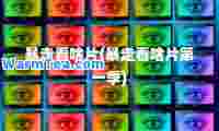 暴走看啥片(暴走看啥片季)