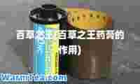 百草之王(百草之王药膏的作用)