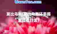 莫比乌斯(莫比乌斯环手镯象征着什么)