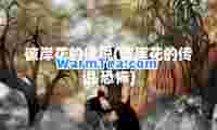 彼岸花的传说(彼岸花的传说 恐怖)