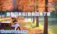 爸爸回来啦(爸爸回来了第三季)