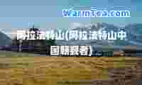 阿拉法特山(阿拉法特山中国朝觐者)