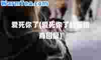 爱死你了(爱死你了的高情商回复)