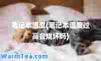 笔记本温度(笔记本温度过高会烧坏吗)