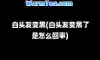 白头发变黑(白头发变黑了是怎么回事)