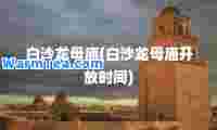 白沙龙母庙(白沙龙母庙开放时间)