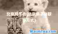北京狮子会(北京狮子会联系方式)