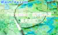 广德县地图(广德地图高清版大地图)