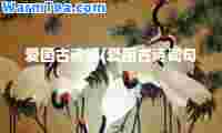 爱国古诗词(爱国古诗词句)