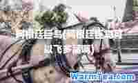 阿根廷巨鸟(阿根廷巨鸟可以飞多高啊)