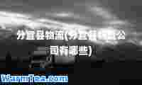 分宜县物流(分宜县物流公司有哪些)