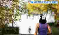 见与不见(不悲不喜)