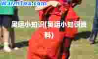 奥运小知识(奥运小知识资料)